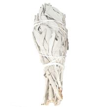 images/productimages/small/white-sage-smudge-stick.jpg