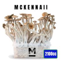 images/productimages/small/xl-mckennaii-magic-mushroom-growkit-1200cc-medium.jpg