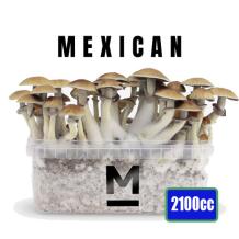 images/productimages/small/xl-mexican-mex-magic-mushroom-growkit-1200cc-medium.jpg