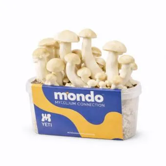 Yeti 1200cc grow kit by Mondo, box with the M logo