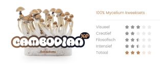 100% MYCELIUM Cambodian - FreshMushrooms Paddo growkit 1200cc