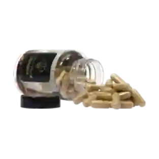 Lion's Mane extract capsules - 120 caps