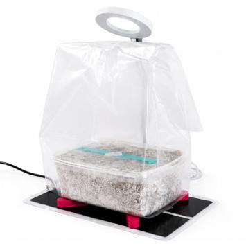 Mushroom Grow Light - Mondo Europe