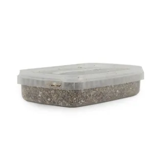 Mushroom growkit - legal in each country - make your own growkit