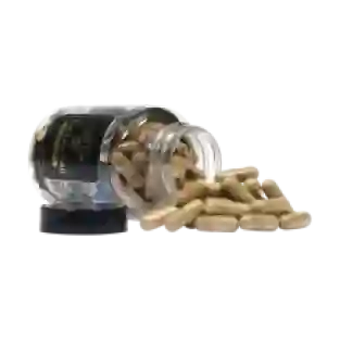 Turkey Tail extract capsules - 120 stuks