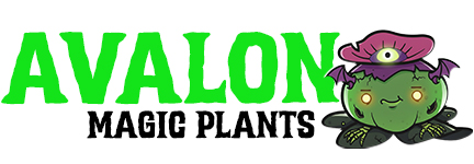 avalonmagicplants.com Page d’accueil