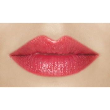 Vichy NaturalBlend Getinte Lippenbalsem Rood 4,5gr