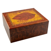 images/productimages/small/humidor-tobacco-leaf-50-sigaren.jpg