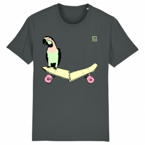 Skate T-shirt, parrot on skateboard, men, anthracite