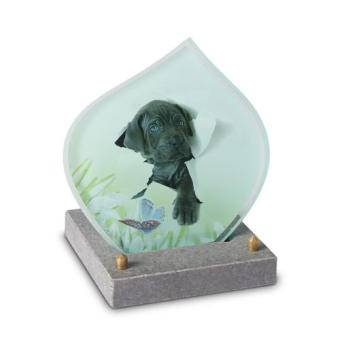 Fotoglas monument 15x15cm: Foto van Hond in een traan