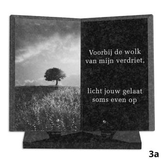 Boek gedenkteken 35x35cm met lasertekening