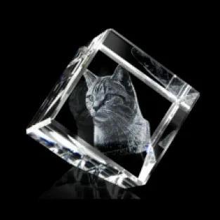 poes in kubus met 3D gravure
