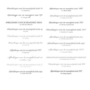beschikbare lettertypes