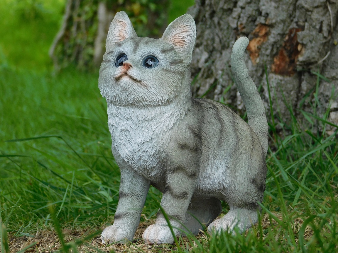 Kätzchen grau - polystone