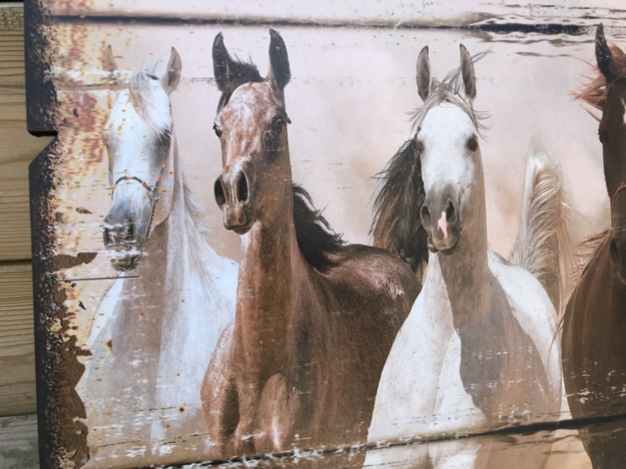 Großer Wandteller mit 11 schönen Pferden