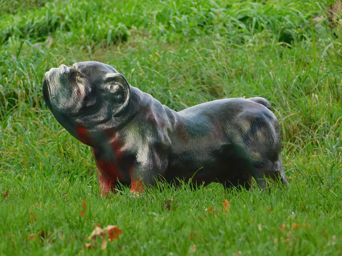 Beeld Bulldog, tuinbeeld / dierenbeeld, polystone
