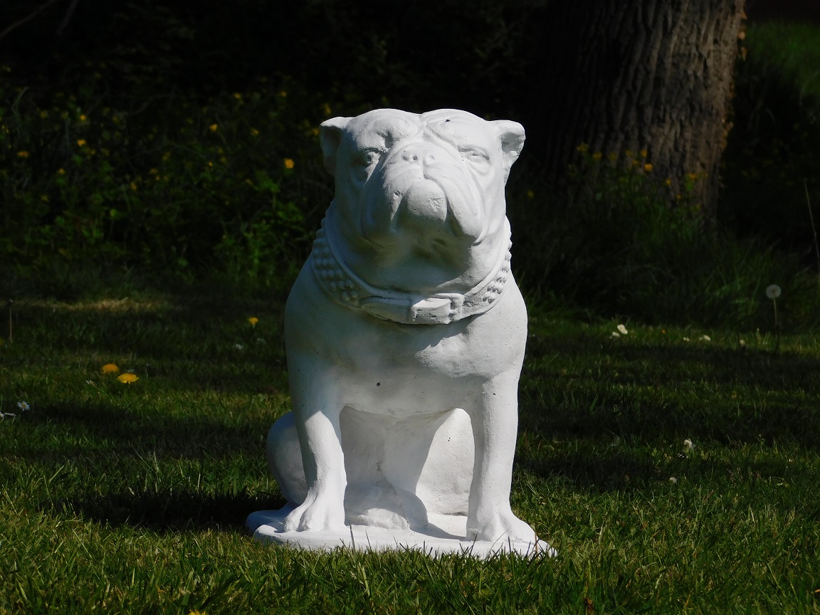 Statue Bulldogge XL - massiver Stein