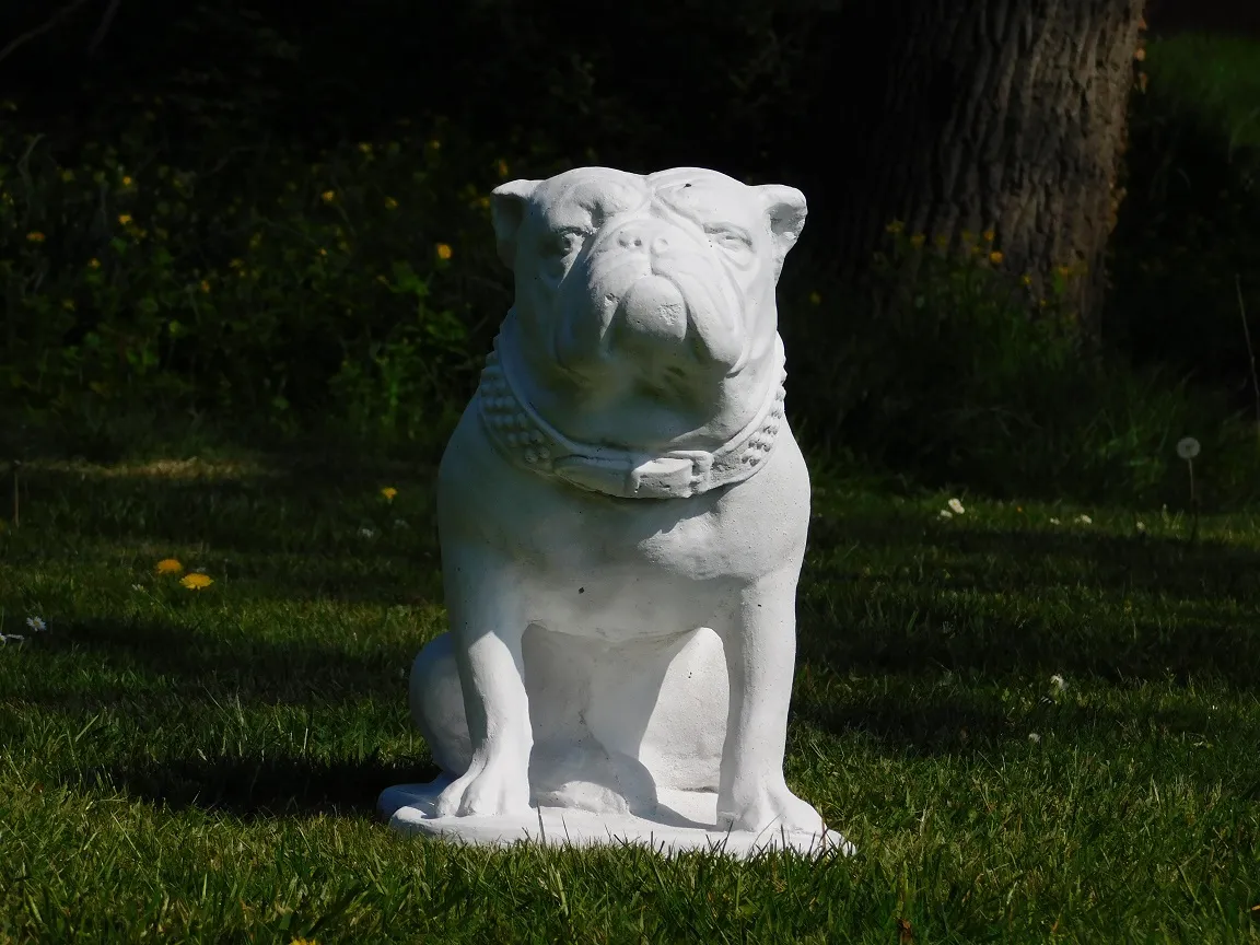 Inhalen verzoek hoed Groot beeld van een Bulldog, tuinbeeld / binnen beeld, steen
