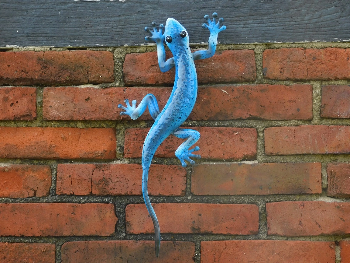 Cintres à Ventouse - Gecko Design Crochet Mural à Ventouse Pour Serviette - Crochet Mural Décoratif, Cintre Gecko, Crochets Pour Accrocher Des Clés, Sacs à Main, Serviettes, Chapeaux, Bijoux, Décorati