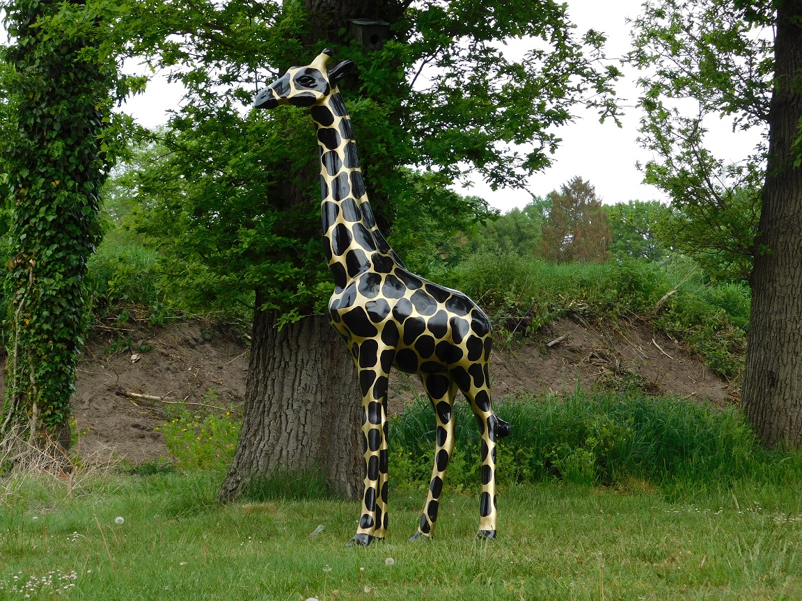 Beeld Giraffe, levensgroot, groot dierenbeeld, kunststof
