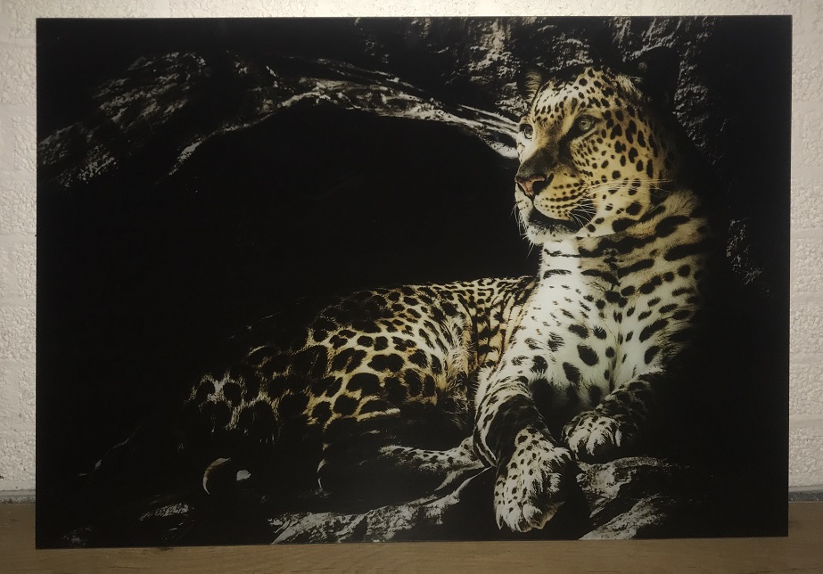 Schöne Kunst auf Glas von einem Leoparden / Panther, sehr schön