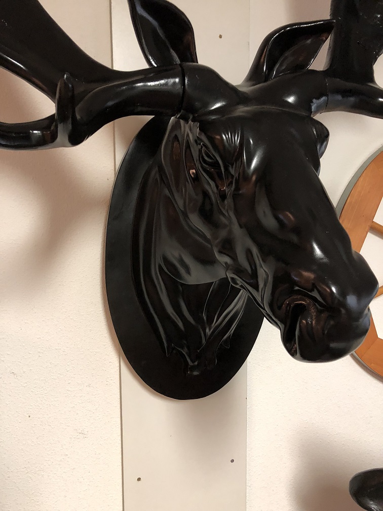 Een prachtige en kolossale kop van een Scandinavische Eland, zwart
