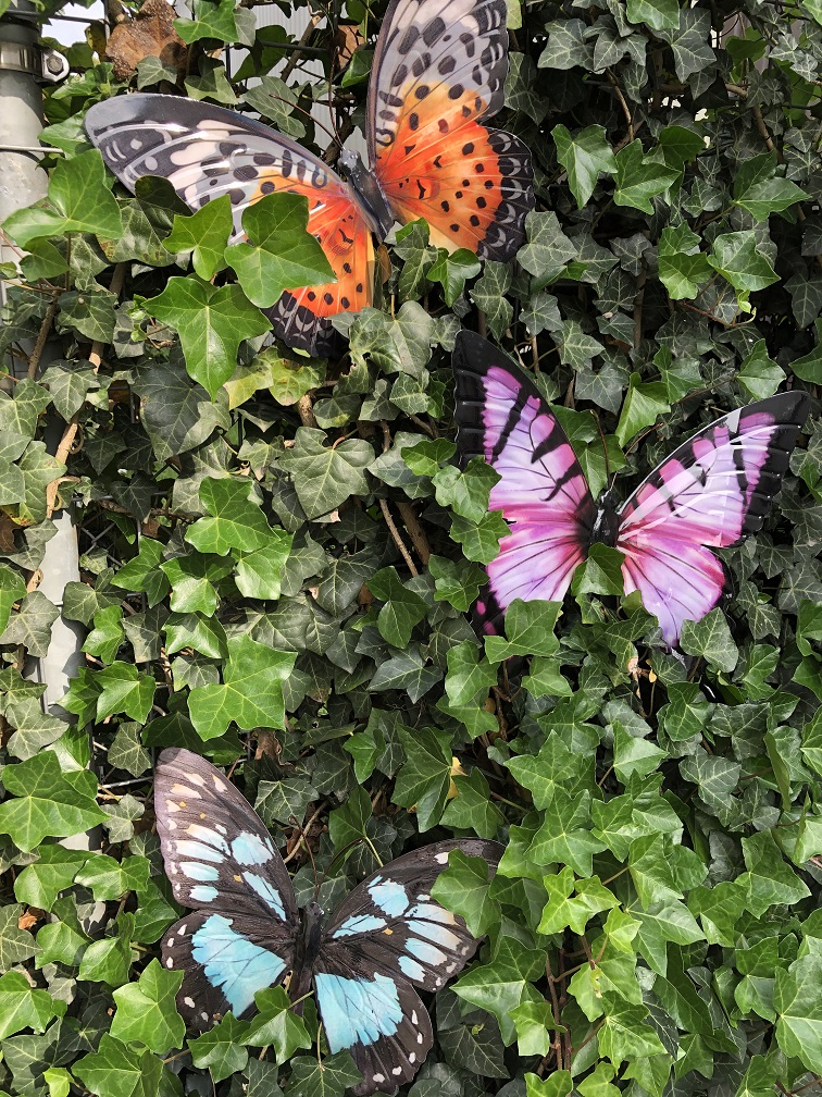 Vlinders, tuinbeelden, wanddecoratie vlinder, set van 3 in kleur