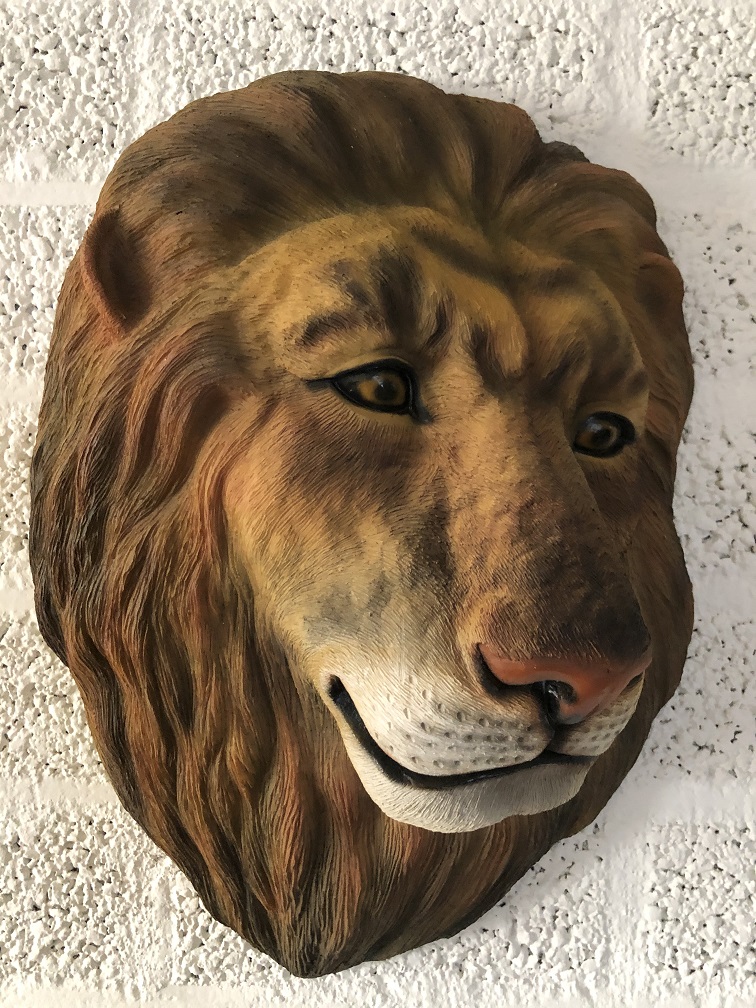 Schöner farbiger Löwenkopf zum Aufhängen an der Wand