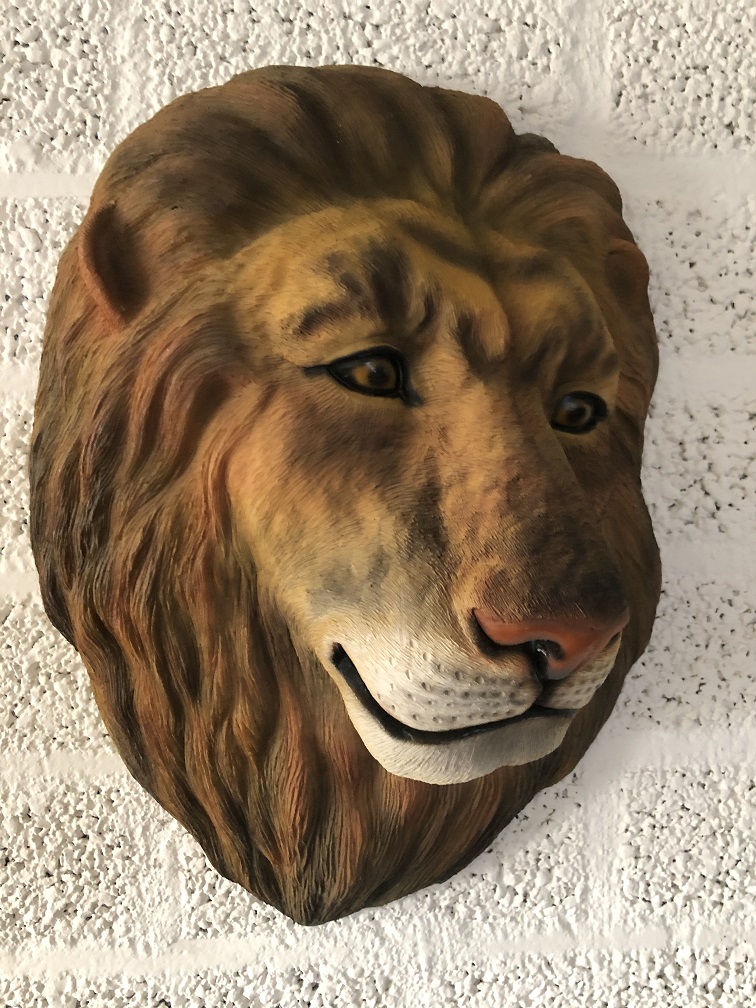 Schöner farbiger Löwenkopf zum Aufhängen an der Wand