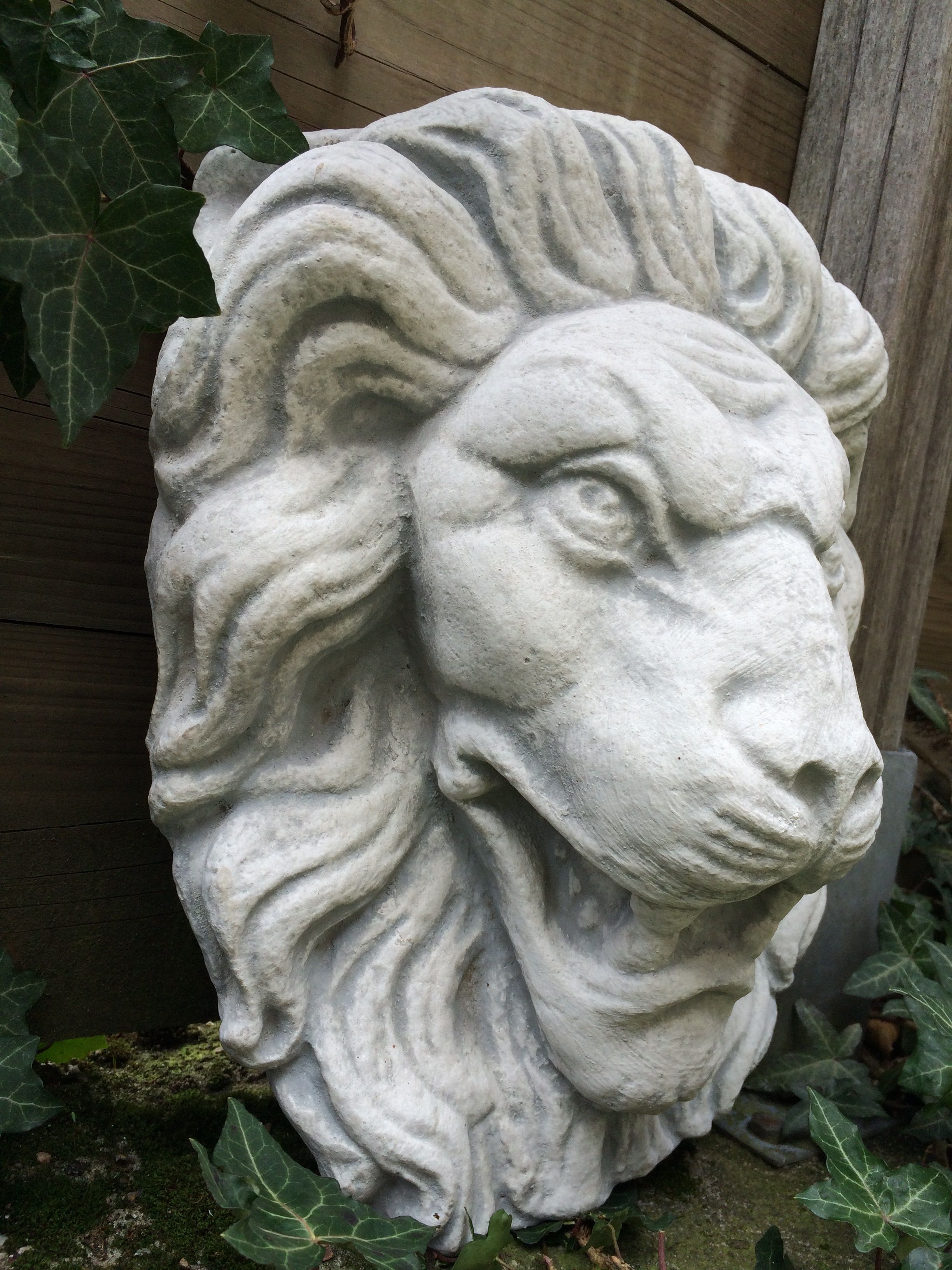 Grote leeuwenkop, vol steen, super mooi!!
