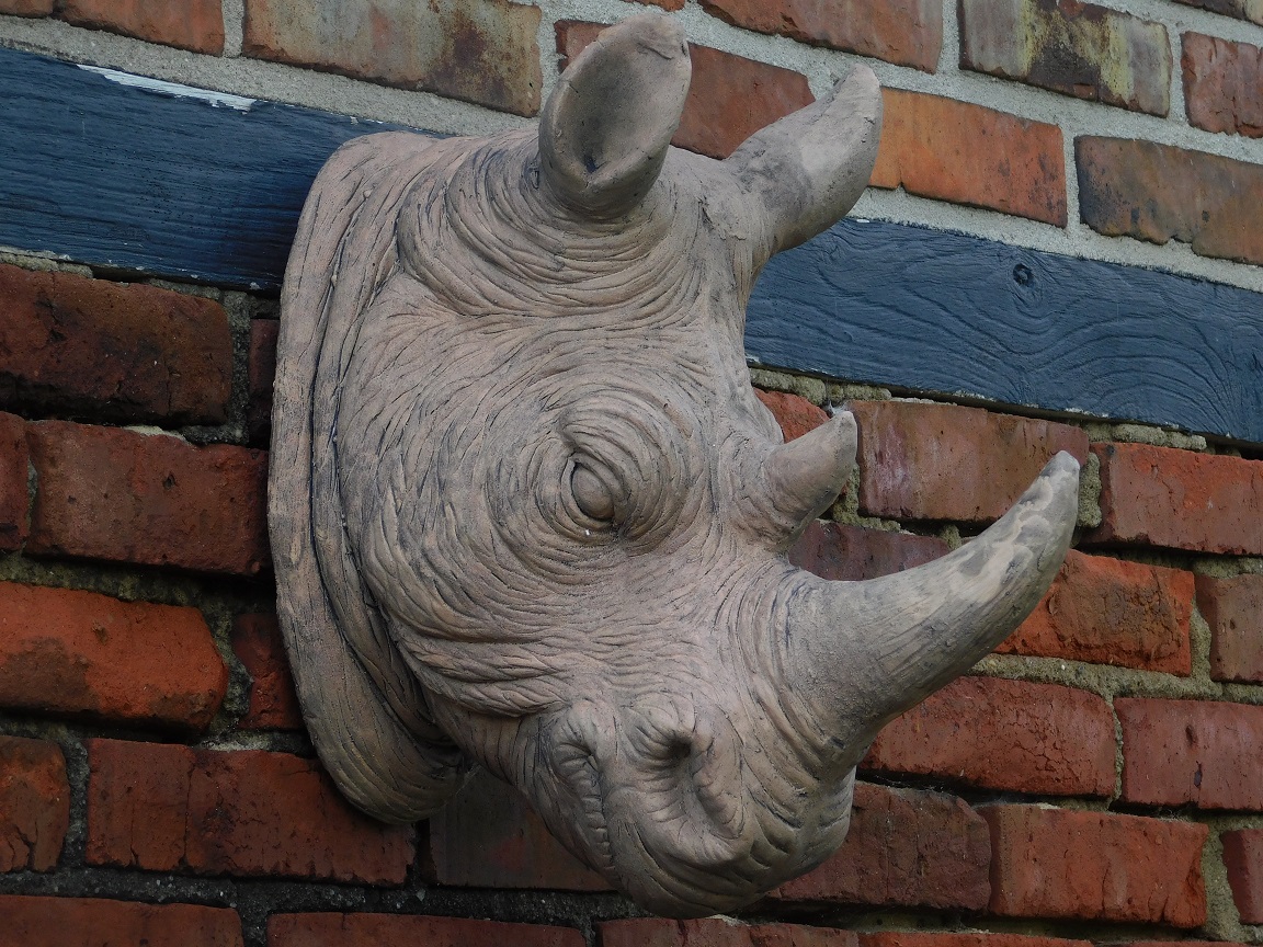 Ein schöner Kopf eines Nashorns, schön detailliert, Polystone