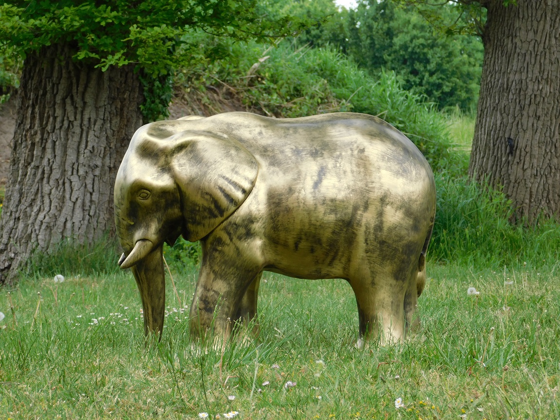 Beeld olifant, tuinbeeld, goud kleurig