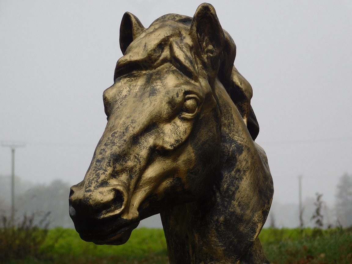 Tuinbeeld paard, paardenhoofd beeld groot, goud met zwart