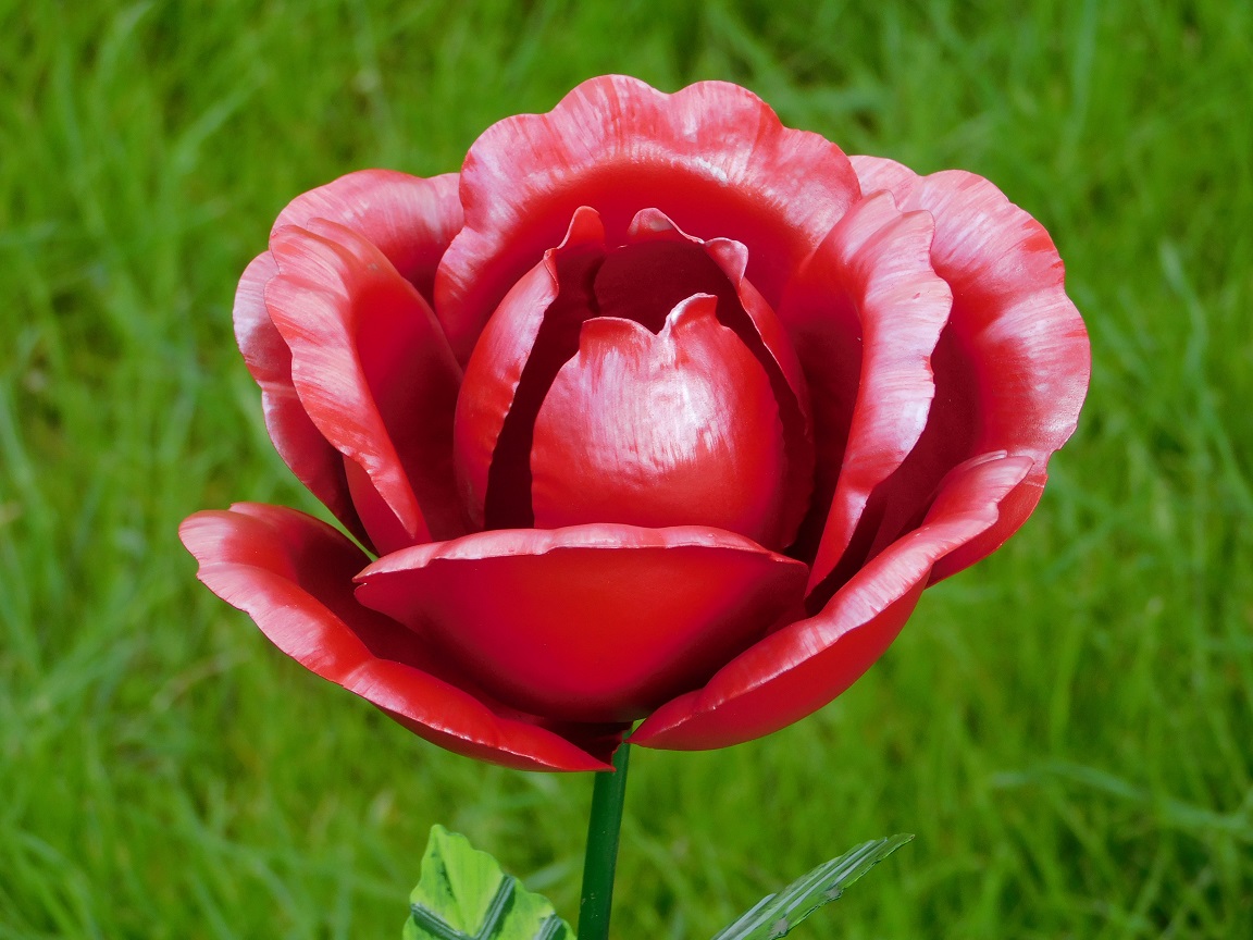 Diese Rose ist ein Kunstwerk, ganz aus Metall gefertigt