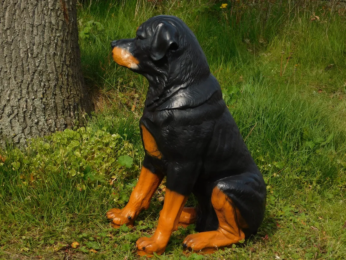 Statue de Rottweiler assis – Hauteur 65 cm – Polystone