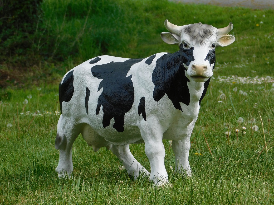 Tuinbeeld koe, beeld (sterk) kunststof, dierenbeeld koe met hoorns