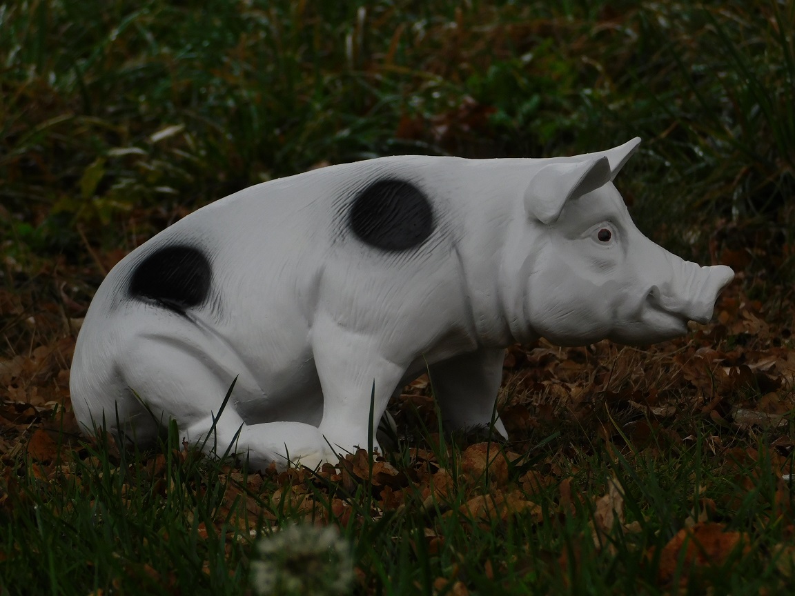 Beeld / tuinbeeld varken met zwarte vlekken, realistisch dierenbeeld