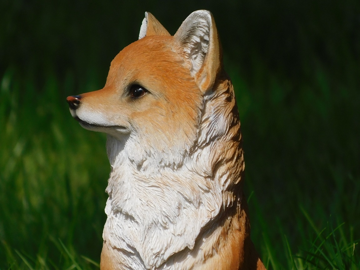 Tuinbeeld vos, dierenbeeld in kleur, kunststof, voor tuin / huis