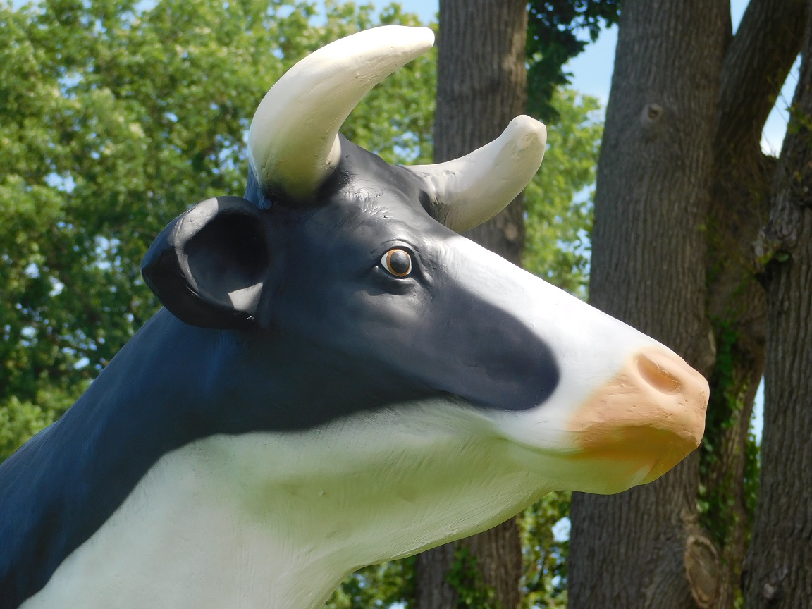 Schöne Skulptur einer Kuh, wunderschön gefärbt, ein echter Blickfang!