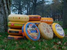 Roue de fromage décorative – différents modèles – plastique – 35 cm