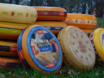 Roues de fromage décoratives – 2 pièces – plastique – 35 cm