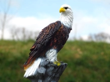 Adler - Polystone-Statue - 105 cm - in Farbe und Detail