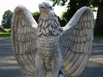 Aigle - statue en pierre - 55 cm - statue détaillée