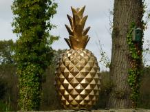 images/productimages/small/ananas-gold-6833.jpg