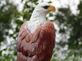 Brauner Adler – Polystone – dekorative Tierfigur – 50 cm
