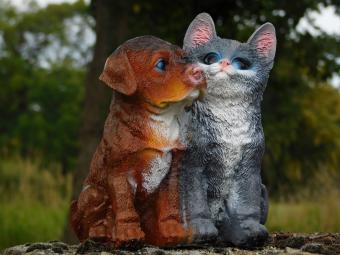 images/productimages/small/beeld.hond.kat.poly.zumi-g50622.jpg