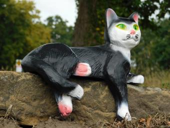 images/productimages/small/beeld.lig.poes.poly.zumi-g1811111.jpg