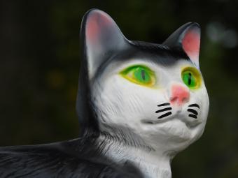 images/productimages/small/beeld.lig.poes.poly.zumi-g1812.jpg