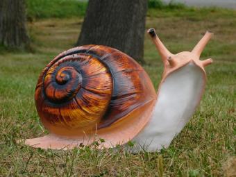 images/productimages/small/beeld.slak.poly.zumi-g532111.jpg