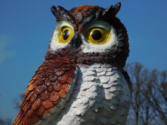 Bruine Uil XL beeld - 70 x 40 cm - kunststof dierenbeeld